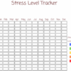Stress processing journal